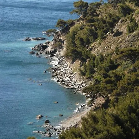 Vacances Au Soleil à 200 M De La Mer Appartement La Seyne-sur-Mer