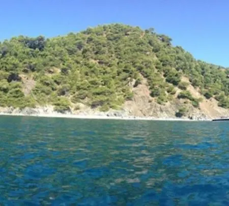 Vacances Au Soleil A 200 M De La Mer La Seyne-sur-Mer