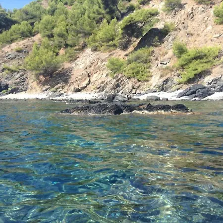 Vacances Au Soleil à 200 M De La Mer Appartement *
